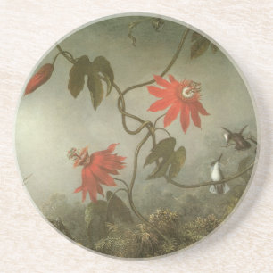 Blume und Hummingbirds von Martin J Heade Sandstein Untersetzer