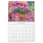 Blume und Insekten - Kalender 2013 (Jan 2026)