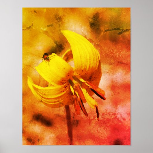 Blume und Insektenfreund Abstrakt Poster (Vorne)