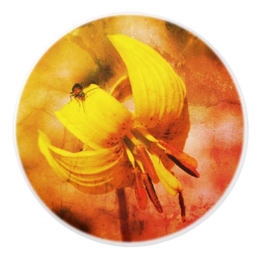 Blume und Insektenfreund Keramikknauf (Vorderseite)