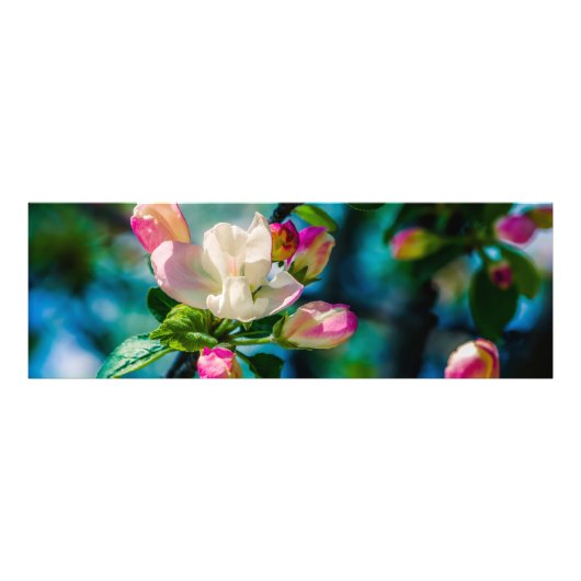 Blume und Knospen Fotodruck (Vorne)