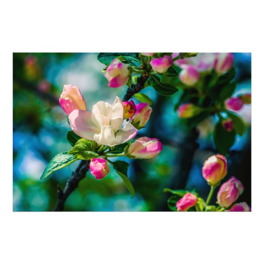 Blume und Knospen Fotodruck (Vorne)