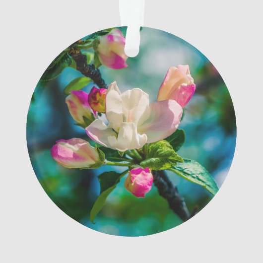 Blume und Knospen Ornament (Rückseite)