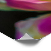Blume und Knospen Poster (Ecke)