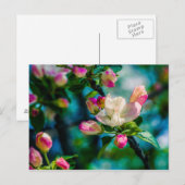 Blume und Knospen Postkarte (Vorne/Hinten)