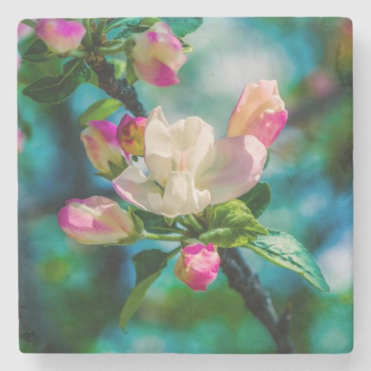 Blume und Knospen Steinuntersetzer (Vorderseite)