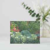 Blume und Kohl Postkarte (Stehend Vorderseite)