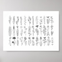 Blume und Kräuter-Tinte Zeichnend