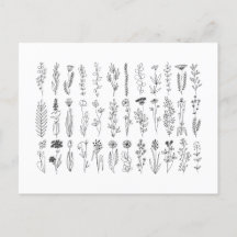 Blume und Kräuter-Tinte Zeichnend