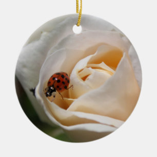Blume und Ladybug Keramik Ornament