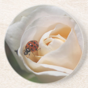 Blume und Ladybug Sandstein Untersetzer