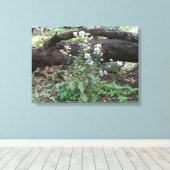 Blume und Leinwand protokollieren (Insitu (Holzboden))