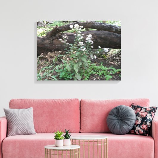 Blume und Leinwand protokollieren (Insitu (Wohnzimmer))