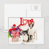 Blume und Liebe Postkarte (Vorne/Hinten)