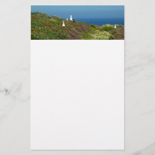 Blume und Möwen auf Anacapa Island Briefpapier (Vorderseite)