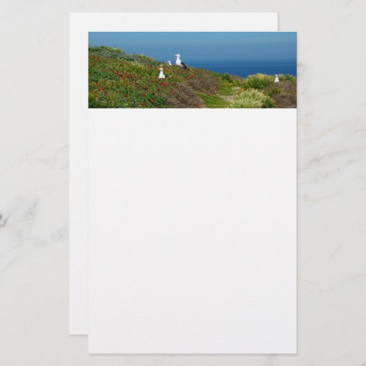 Blume und Möwen auf Anacapa Island Briefpapier (Vorne/Hinten)