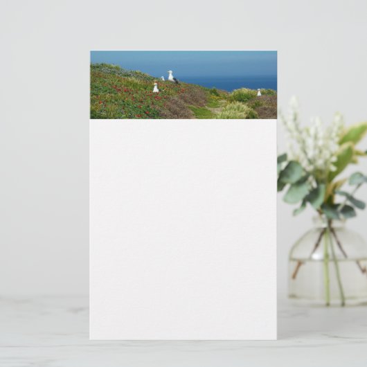Blume und Möwen auf Anacapa Island Briefpapier (Stehend Vorderseite)