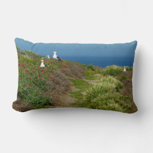 Blume und Möwen auf Anacapa Island Lendenkissen