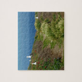 Blume und Möwen auf Anacapa Island Puzzle (Vertikal)
