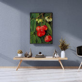 Blume und Obst der Jamboa Boll Poster