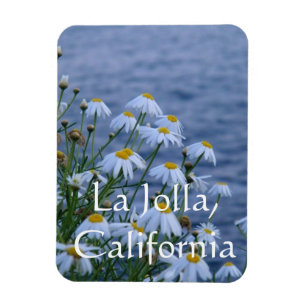 Blume und Ozean in La Jolla, Kalifornien Magnet