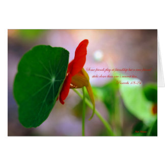 Blume und Pflanze lehnen sich aufeinander ab.