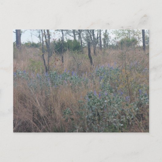 Blume und Pinsel Postkarte (Vorderseite)