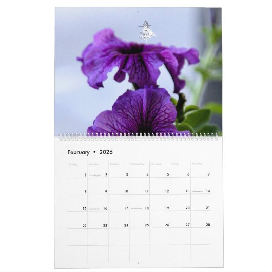 BLUME UND SCHATTENFAIRIEN 2025 KALENDER (Feb 2026)