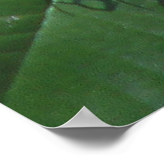 Blume und Schmetterling Poster (Ecke)