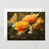 Blume und Schmetterling Postkarte (Vorne/Hinten)
