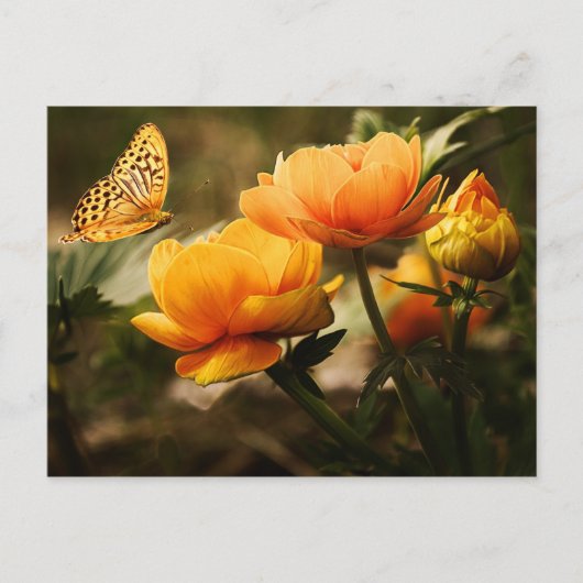 Blume und Schmetterling Postkarte (Vorderseite)