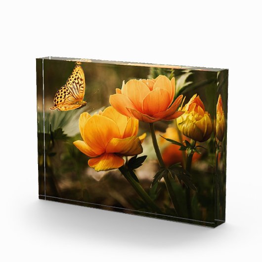 Blume und Schmetterlinge Fotoblock (Rechts)