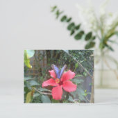 Blume und Schmetterlinge in der Franche Comte Postkarte (Stehend Vorderseite)