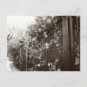 Blume und Schmiedeeiserzaun, Tilt Shift, B&W Postkarte (Vorderseite)