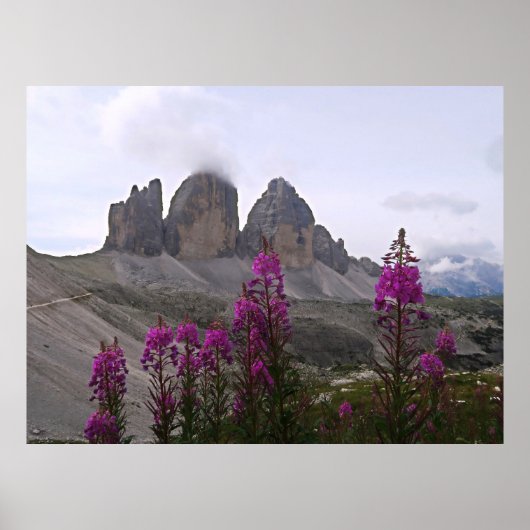 Blume und Tre Cime Poster (Vorne)
