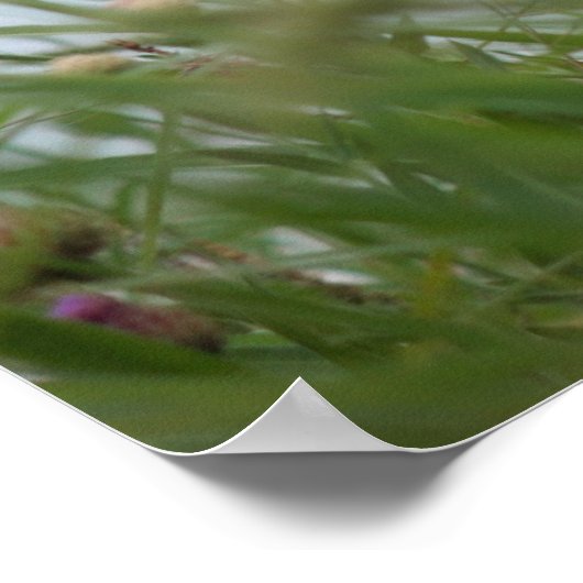 Blume- und Unkrautposter Poster (Ecke)