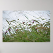 Blume- und Unkrautposter Poster (Vorne)