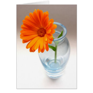 Blume und Vase