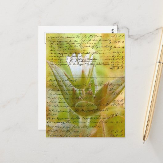 Blume und Vintage-Schrift Postkarte (Vorderseite/Rückseite Beispiel)