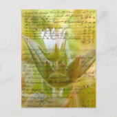 Blume und Vintages Skript Postkarte (Vorderseite)