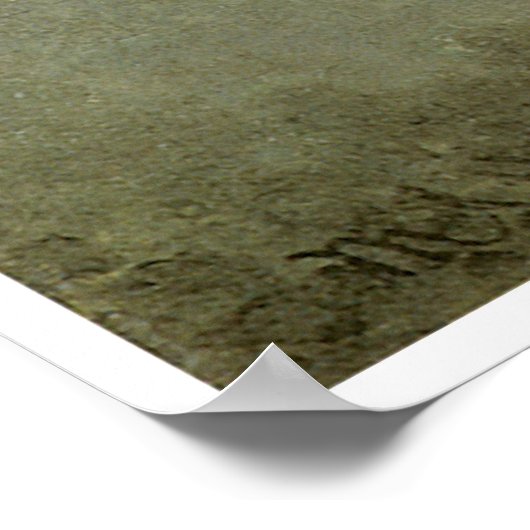 Blume und Vögel Poster (Ecke)