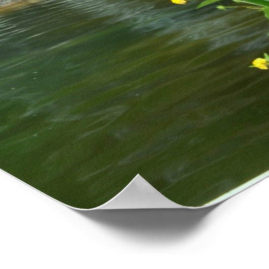 Blume und Wasserfall Poster (Ecke)