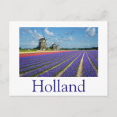 Blume und Windmühlen in Holland Postkarte (Vorderseite)