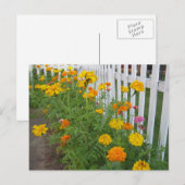 Blume und Zaun Postkarte (Vorne/Hinten)