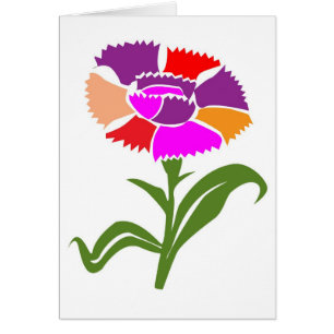 BLUME: Ungewöhnliches Farbschema