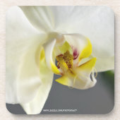 Blume Untersetzer (Vorderseite)