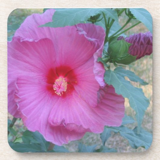 Blume Untersetzer (Vorderseite)