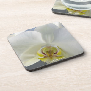 Blume Untersetzer