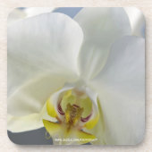 Blume Untersetzer (Vorderseite)