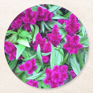 Blume Untersetzer Set